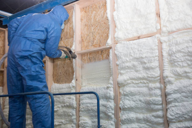 Professional Insulation Services in La Huerta, NM